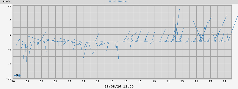 Wind Vector