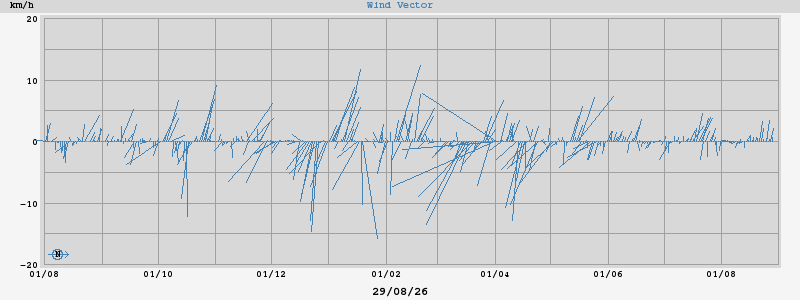 Wind Vector