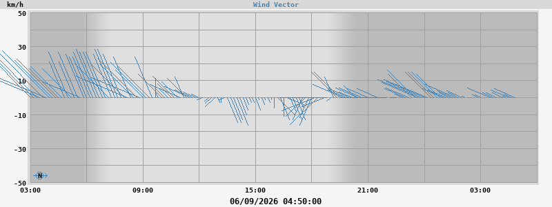 Wind Vector