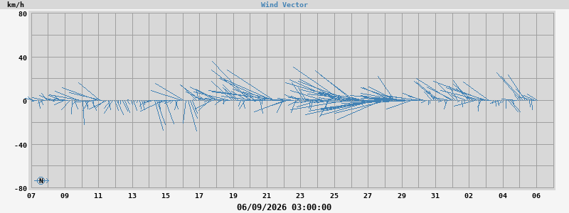 Wind Vector