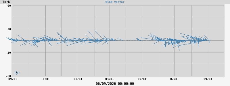 Wind Vector