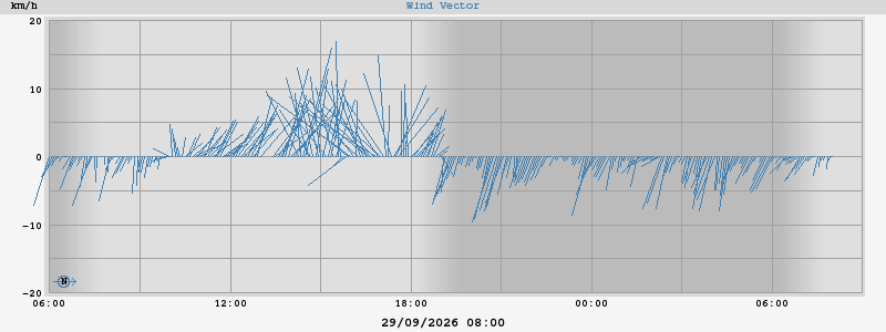 Wind Vector