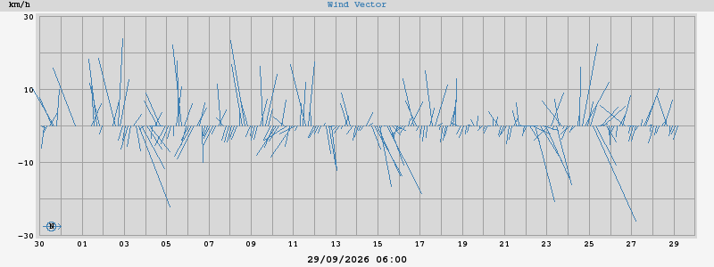 Wind Vector
