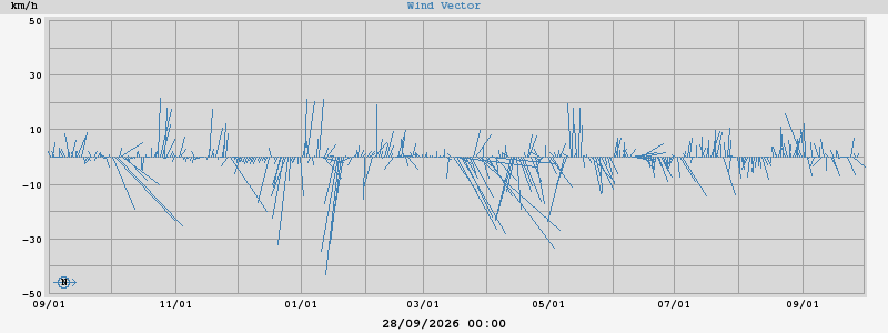 Wind Vector