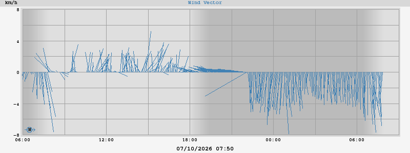 Wind Vector
