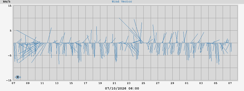 Wind Vector